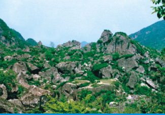 翠华山