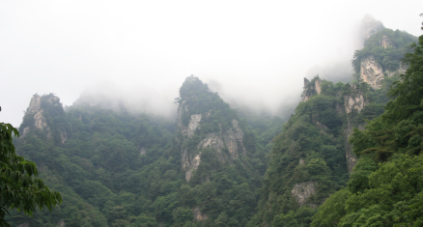 王顺山