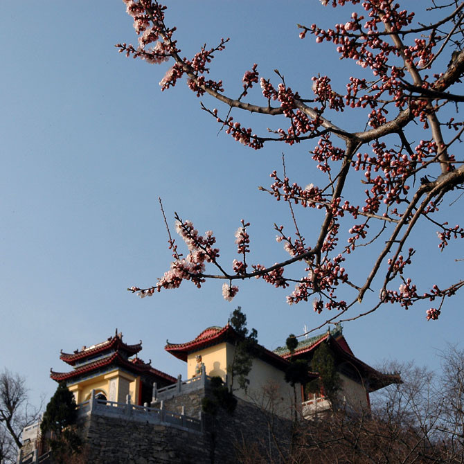 三等奖（秦岭胜境南五台）王平