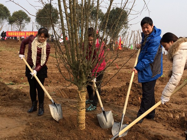 Tree-planting Activity