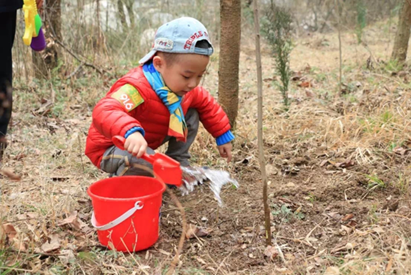 Tree-planting Day in Qinling Zhongnanshan