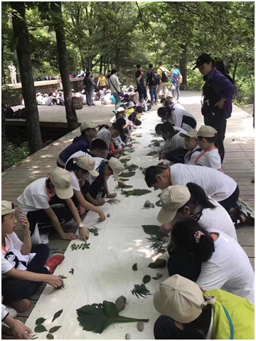 Qinling International Juvenile Geoscience Campsite is a perfect place for student Research in Travel