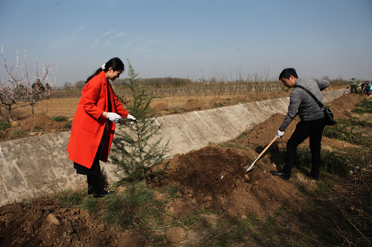 Hope in the Spring—Tree Planting Day of Qinling Zhongnanshan