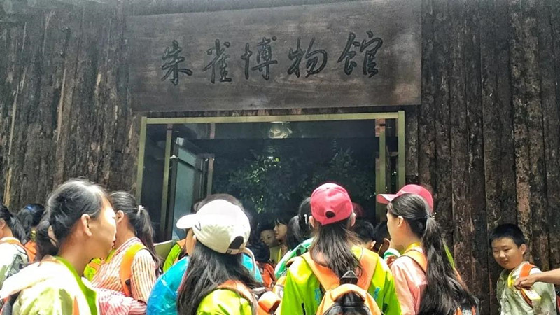 Primary School Graduates of Changsha City, Hunan Province did Research in Travel Activity in Qinling
