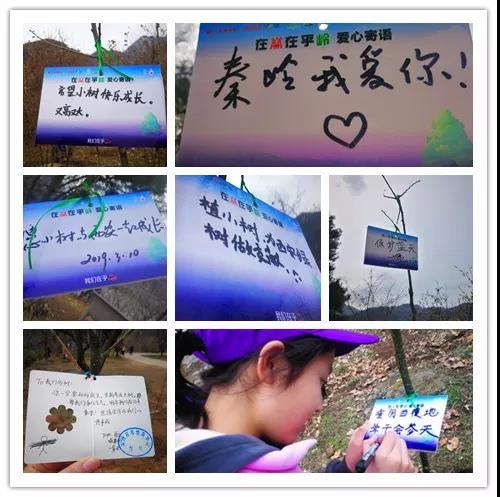 Activities Added Green to Qinling