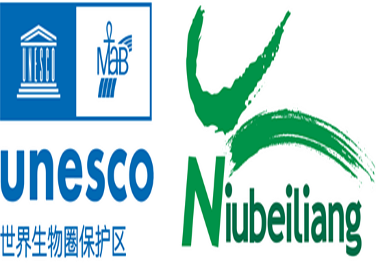 牛背梁世界生物圈保护区